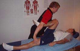 Fisioterapeuta